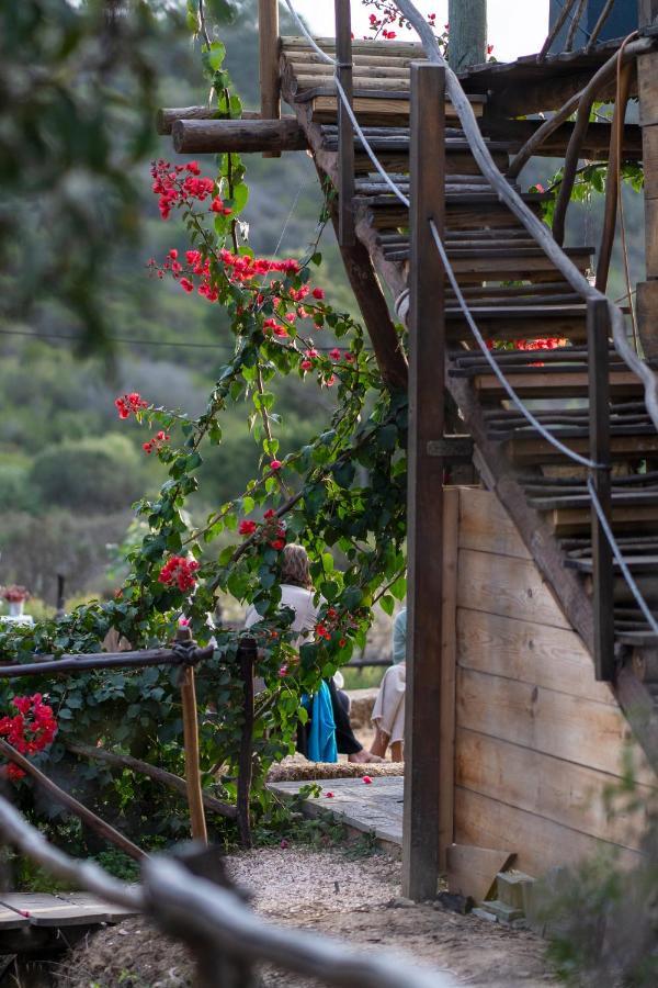 Soul Farm Algarve - Glamping & Farm Houses Aljezur Exterior photo