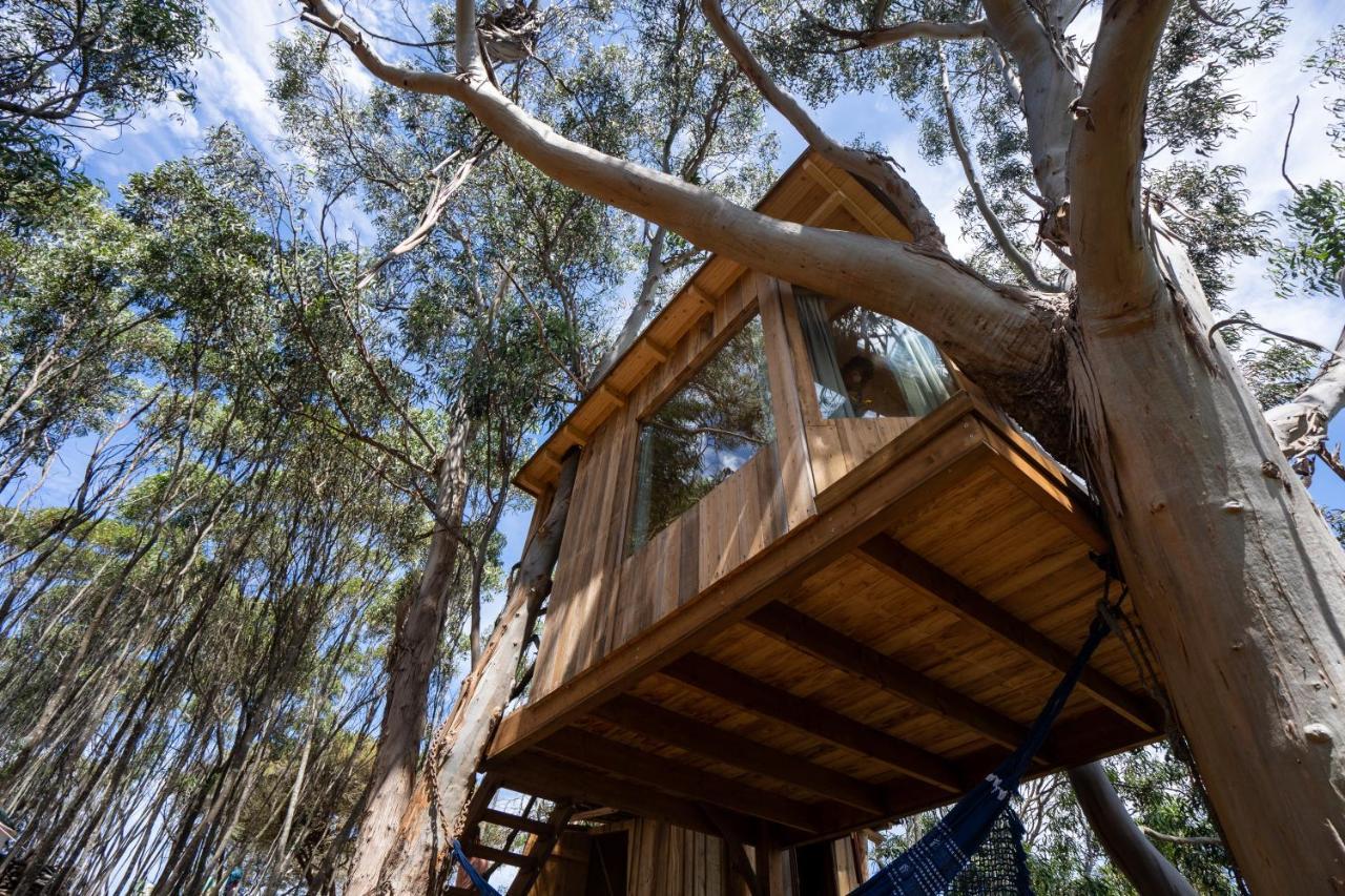 Soul Farm Algarve - Glamping & Farm Houses Aljezur Exterior photo