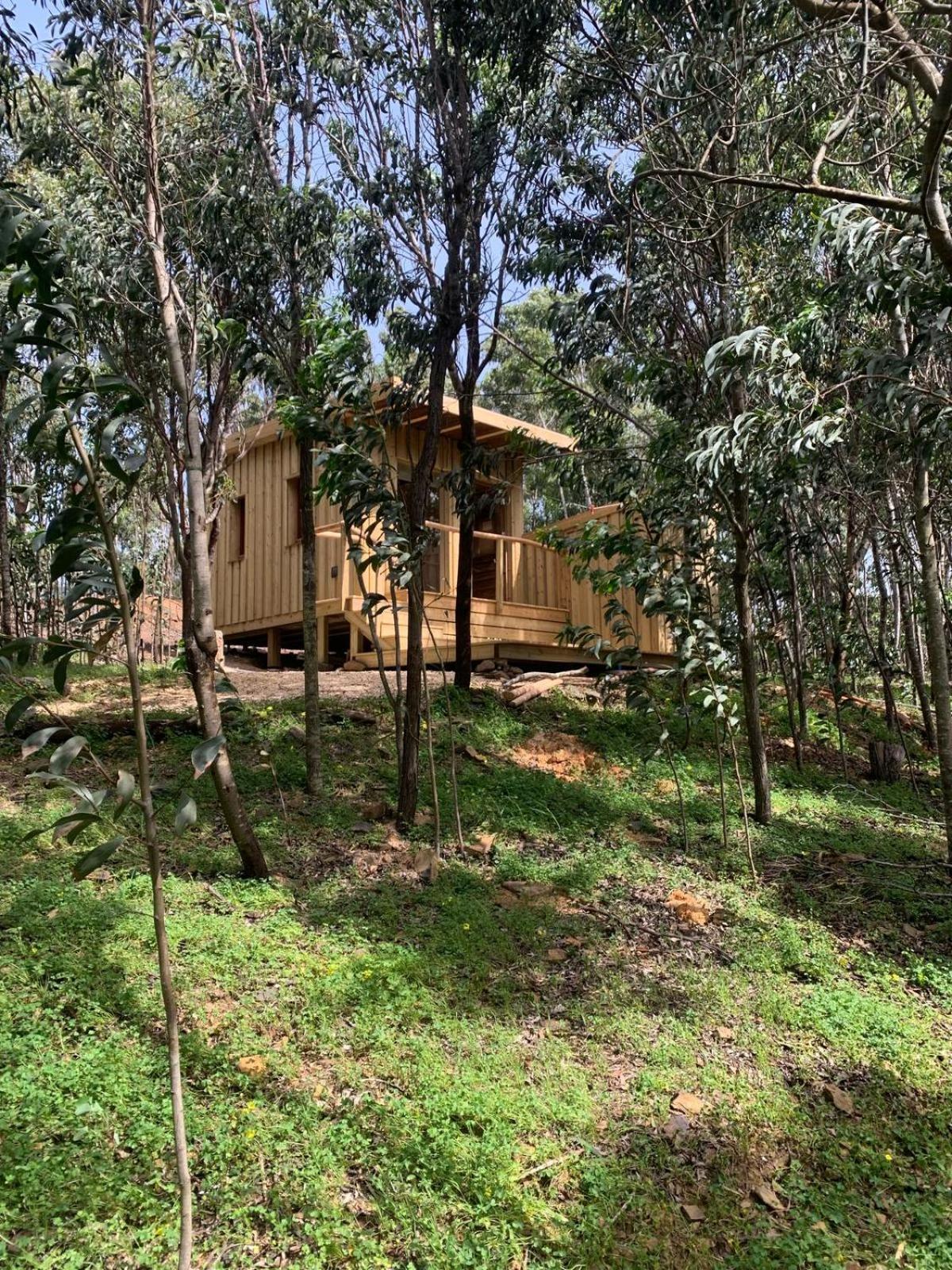 Soul Farm Algarve - Glamping & Farm Houses Aljezur Exterior photo